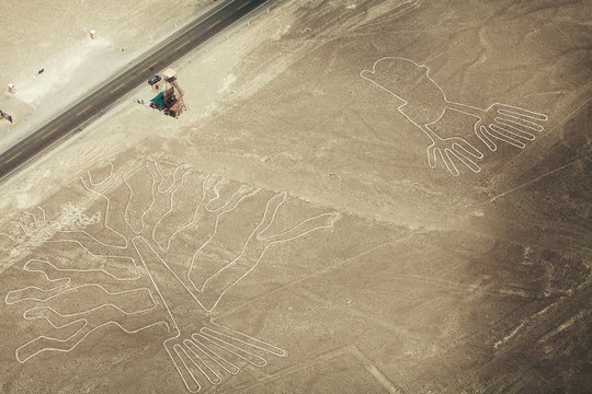 Tree (Arbol) and Hands (Manos) lines in Nazca desert and observa