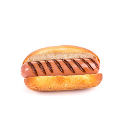 Hot dog isolated on white with bun