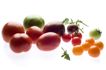 Verschiedene Tomatensorten