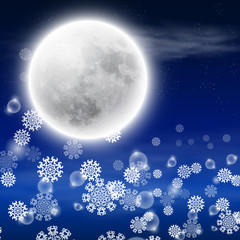 Winter night landscape with fullmoon