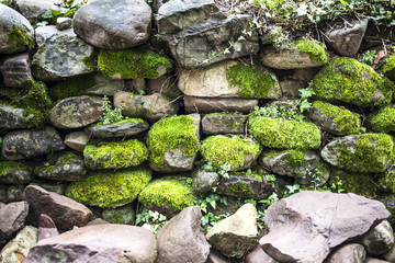Pared de piedra con musgo