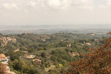 Fototapeta premium hilly landscape