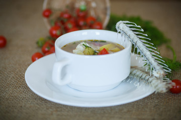 fish soup with vegetables on the plate on the table