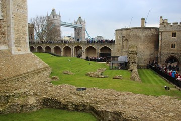 Obraz premium Tower Bridge through the ruins of Tower of London