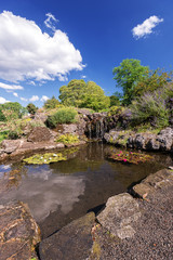 Garden pond at summer