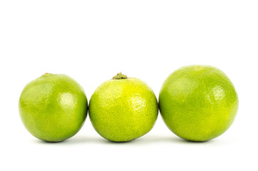 Lime