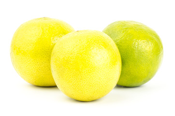Lime