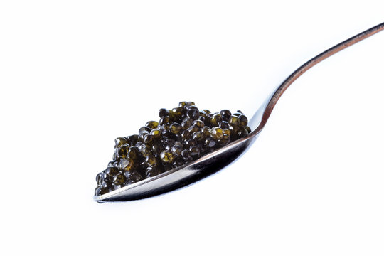 キャビア　Caviar