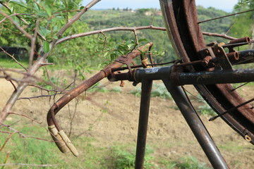 old bicycle in the meadow