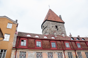 Obraz premium Tallinn, Estonia
