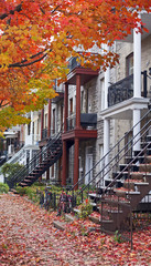 montreal residential architecture at fall - 71436058