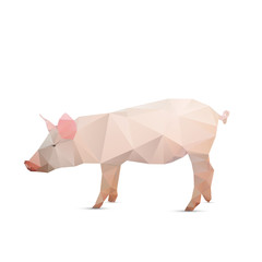 Abstract pig isolated on a white backgrounds.