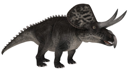 Dinosaur Zuniceratops