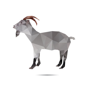 Abstract goat isolated on a white backgrounds, vector illustrati