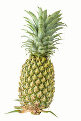 Fototapeta premium Pineapple on white