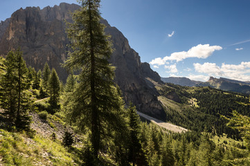 Italian Alps, Dolomites in Summer