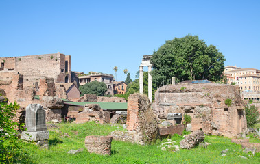 Fototapeta premium Ruins of the forum