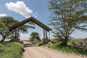Fototapeta premium Entrance Serengeti Nationalpark
