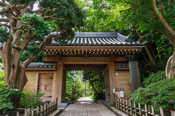 鎌倉　報国寺　山門
