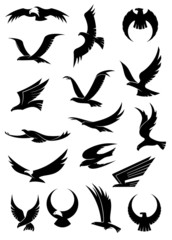 Flying eagle, falcon and hawk vector icons