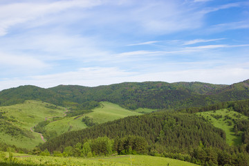 Fototapeta na wymiar Natural background. Summer mountain landscape