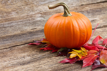 pumpkin on table