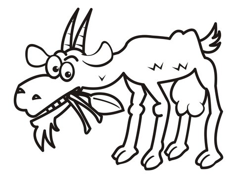goat, coloring book, vector illustration
