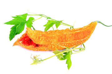 Bittermelone (Momordica charantia)