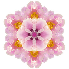 Mandala Kaleidoscopic design