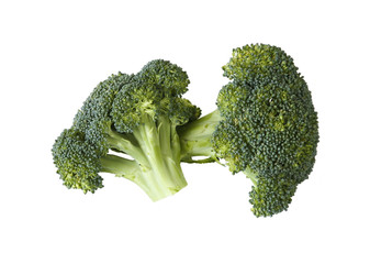 broccoli on white background