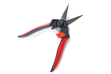 Scissors cut branches on white background