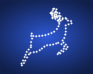 Silhouette of the reindeer of shiny stars