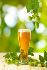 mugs with beer and hop