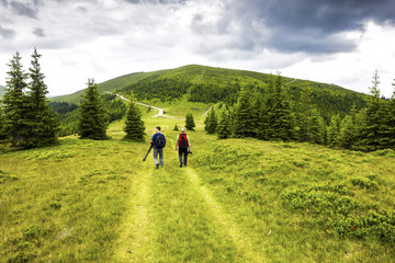 Beautiful alpine landscape with pines