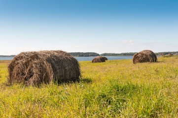 Mop harvested hay