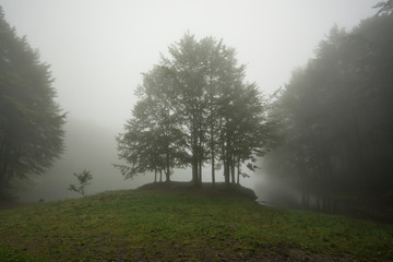 Obraz na płótnie Canvas Mountain lake in the mist