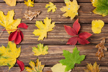 Leafs on wooden table.