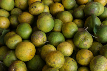 green orange group close up