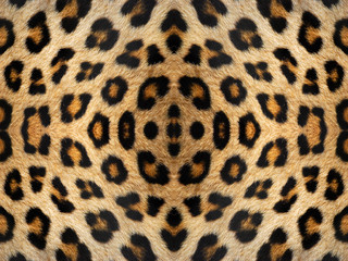 Leopard Fur Pattern