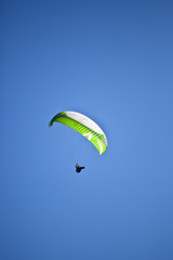 Paraglider