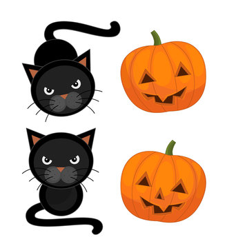 Cartoon halloween elements on white background - cats and pumpkins - illustration for children