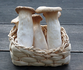 Kräuterseitlinge