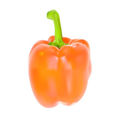Colored Fresh Sweet Pepper Vector Isolated on White Background.