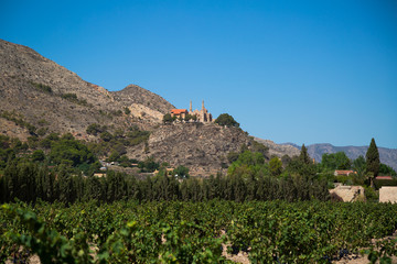 vineyards-novelda © stanislav110685