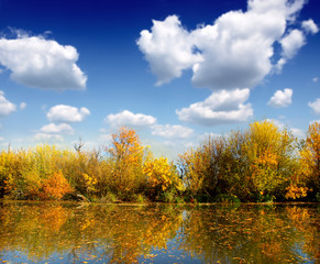 Fototapeta premium forest in beautiful fall colors reflected in the still waters