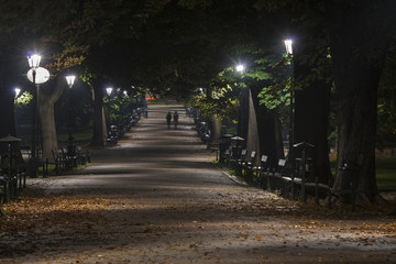 Fototapeta premium Planty Park during the night in Krakow, Poland