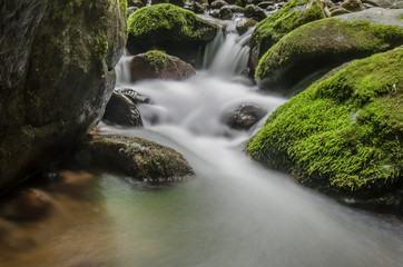 Small Waterfall and Moss
