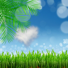 Fototapeta premium natural green background with selective focus