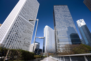 Obraz premium 新宿の高層ビル街