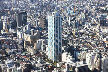 新宿　都庁舎からの展望